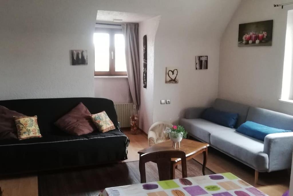 Chez Mamilou Apartment Soufflenheim Ngoại thất bức ảnh