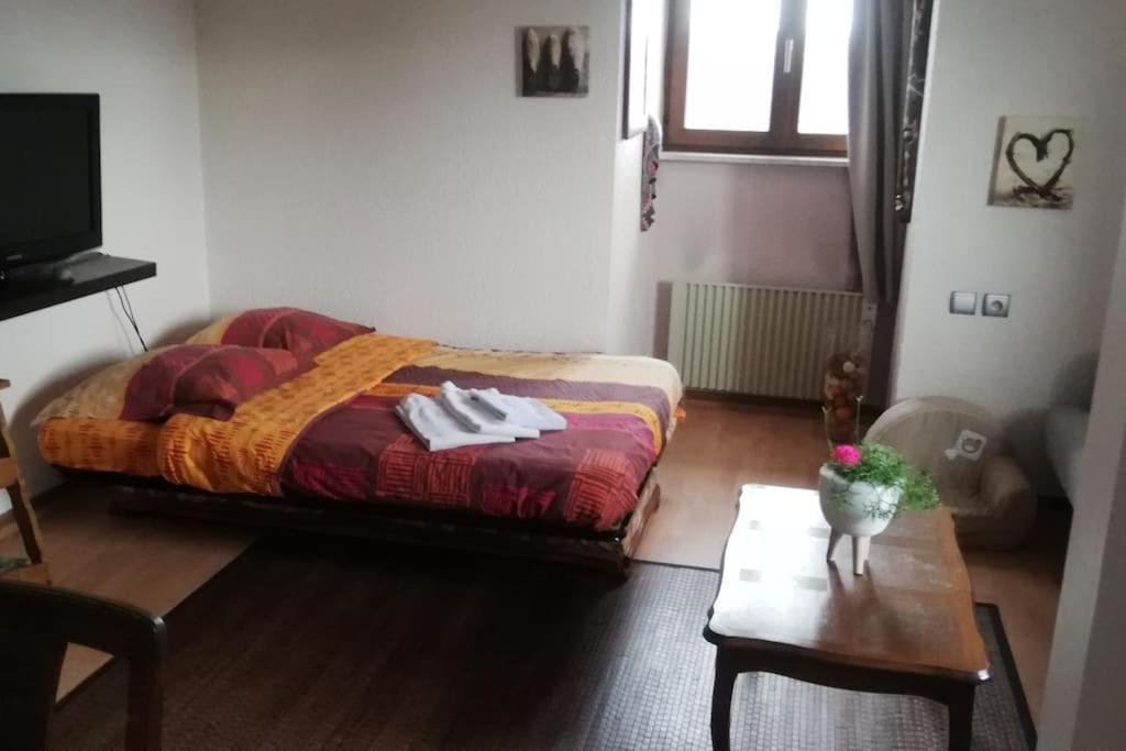 Chez Mamilou Apartment Soufflenheim Ngoại thất bức ảnh
